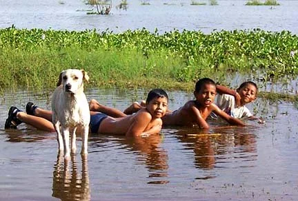summer fun