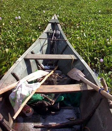 old traditional boat 