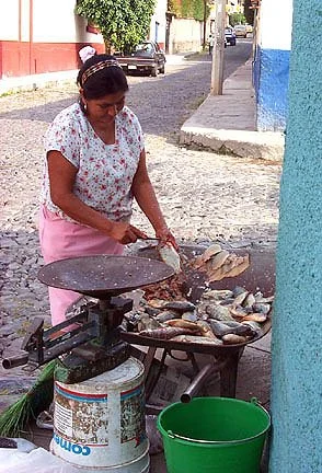   fishermen wife - at my corner  