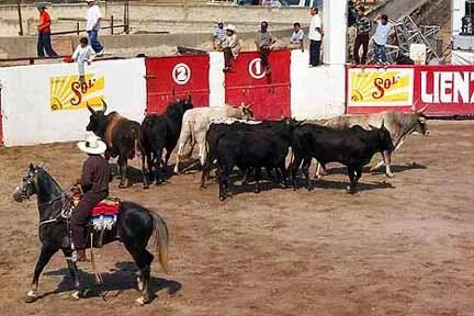 El Jaripeo - runnung of the bulls, Toreo de Ajijic