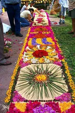 Fiesta Purepecha - flower-petal carpets