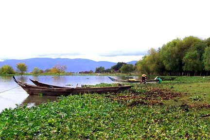 boats and fishermen
