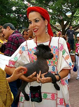 Azucena with Xolosquintle pup - Pasarela del Rebozo