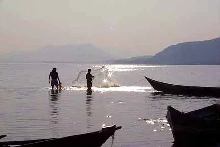 throwing nets at sunset