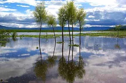 Miracle of 2003 - the coming back of Lake Chapala