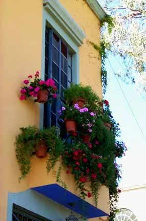 like in San Miguel