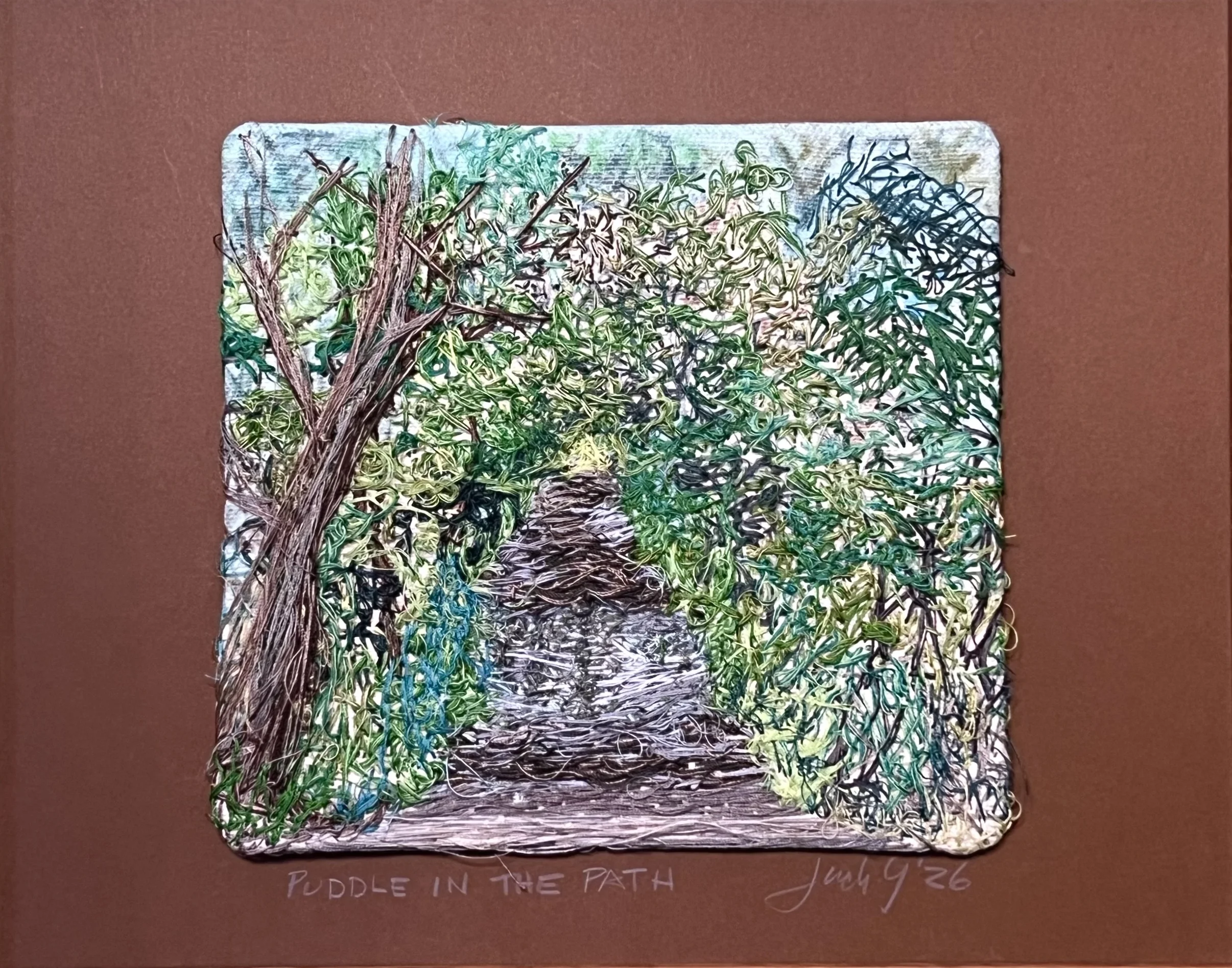 Puddle in the Path