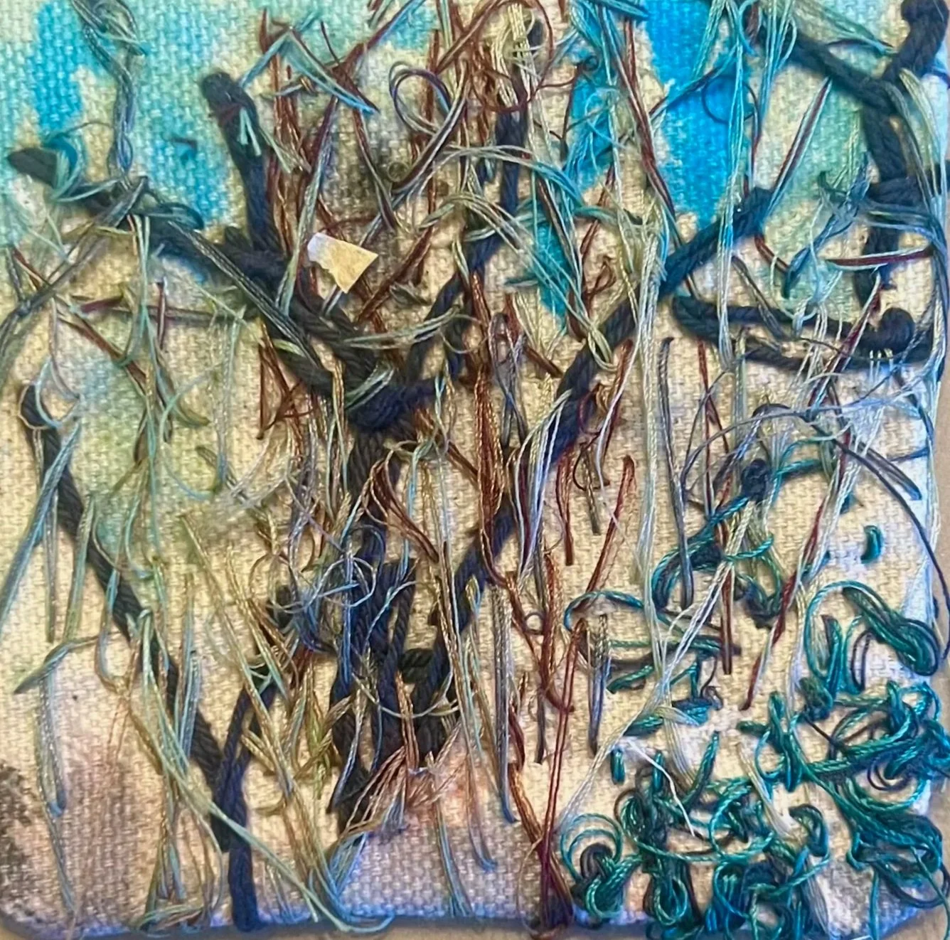 PT+Spanish+Moss.jpg