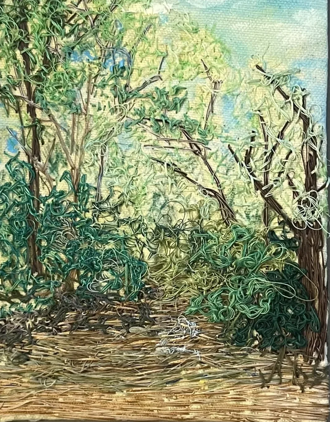 WildeLakeStreamCropped.webp