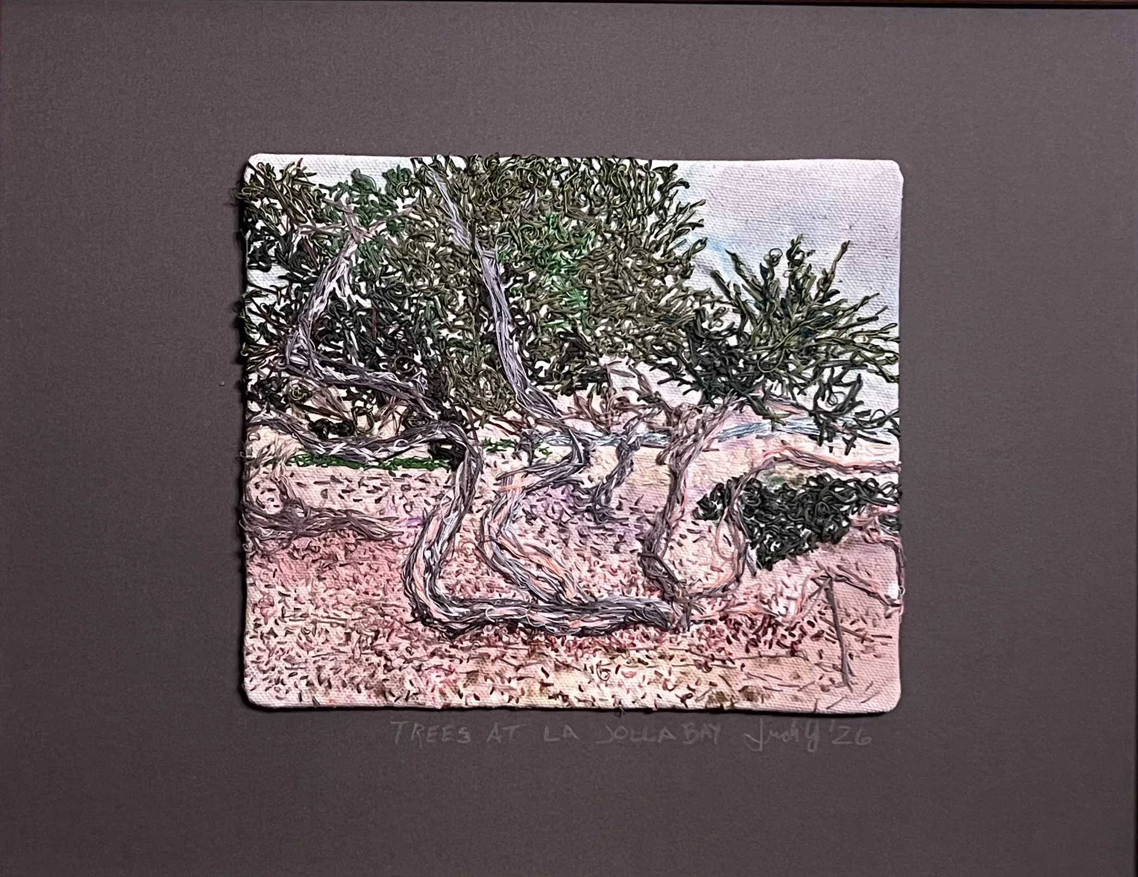 Trees at La Jolla Bay