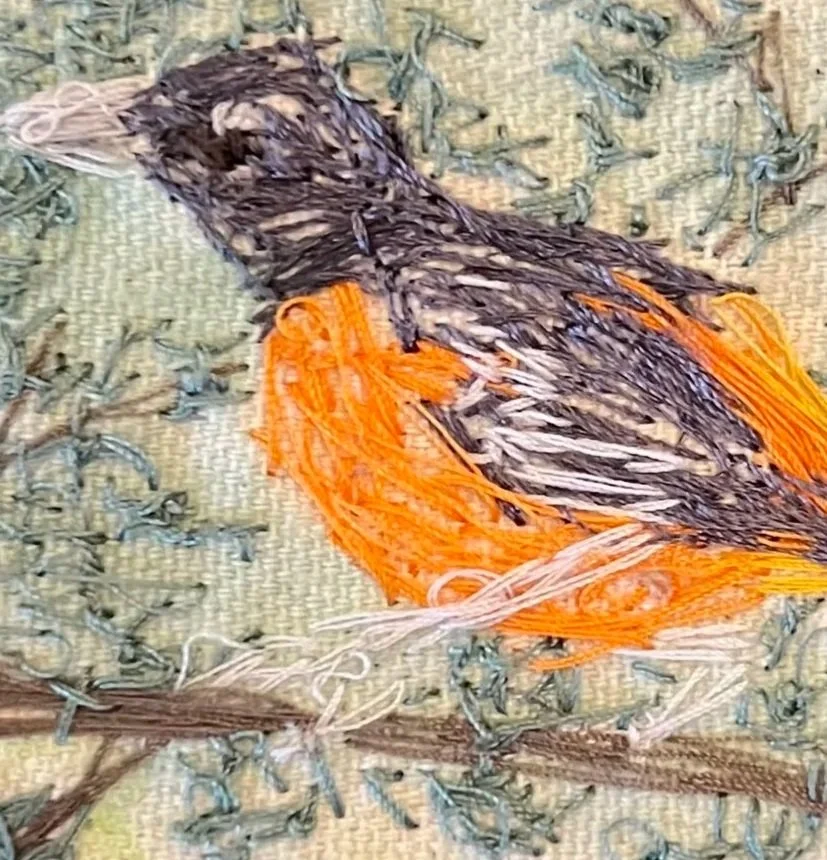 PT+Oriole.jpg