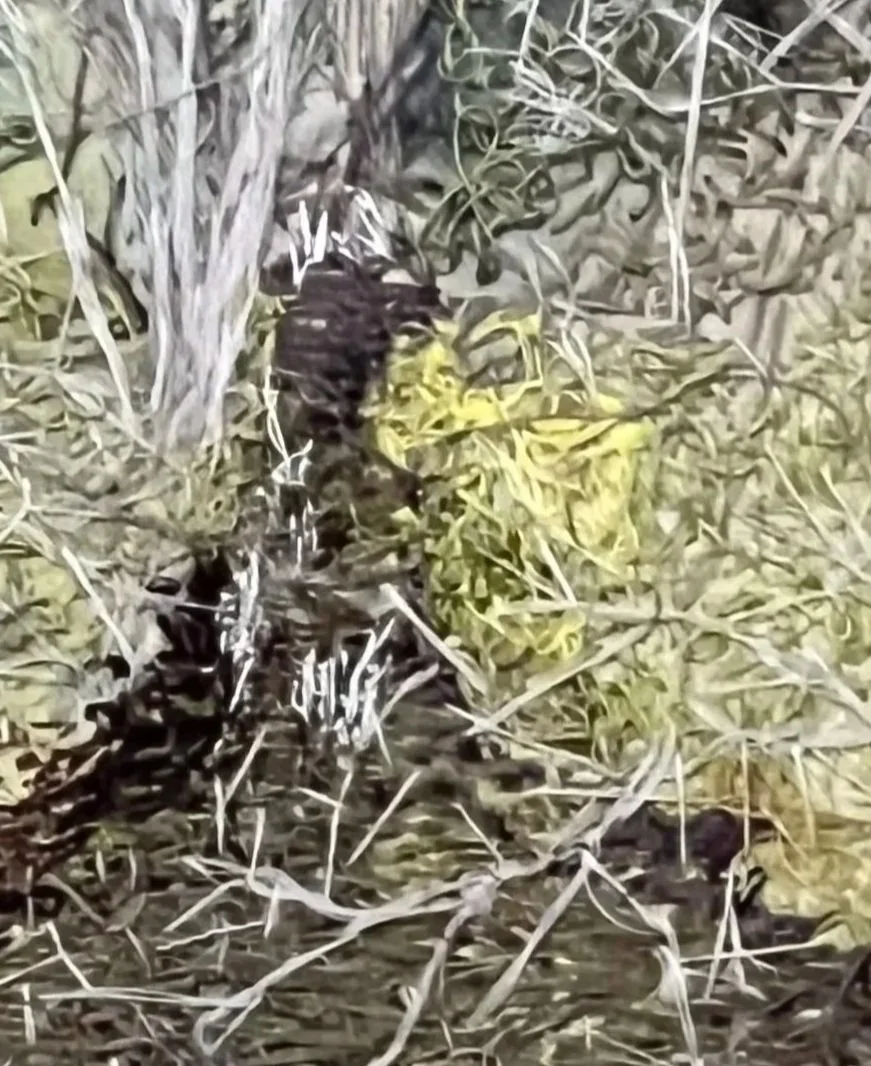 Arboretum.jpg
