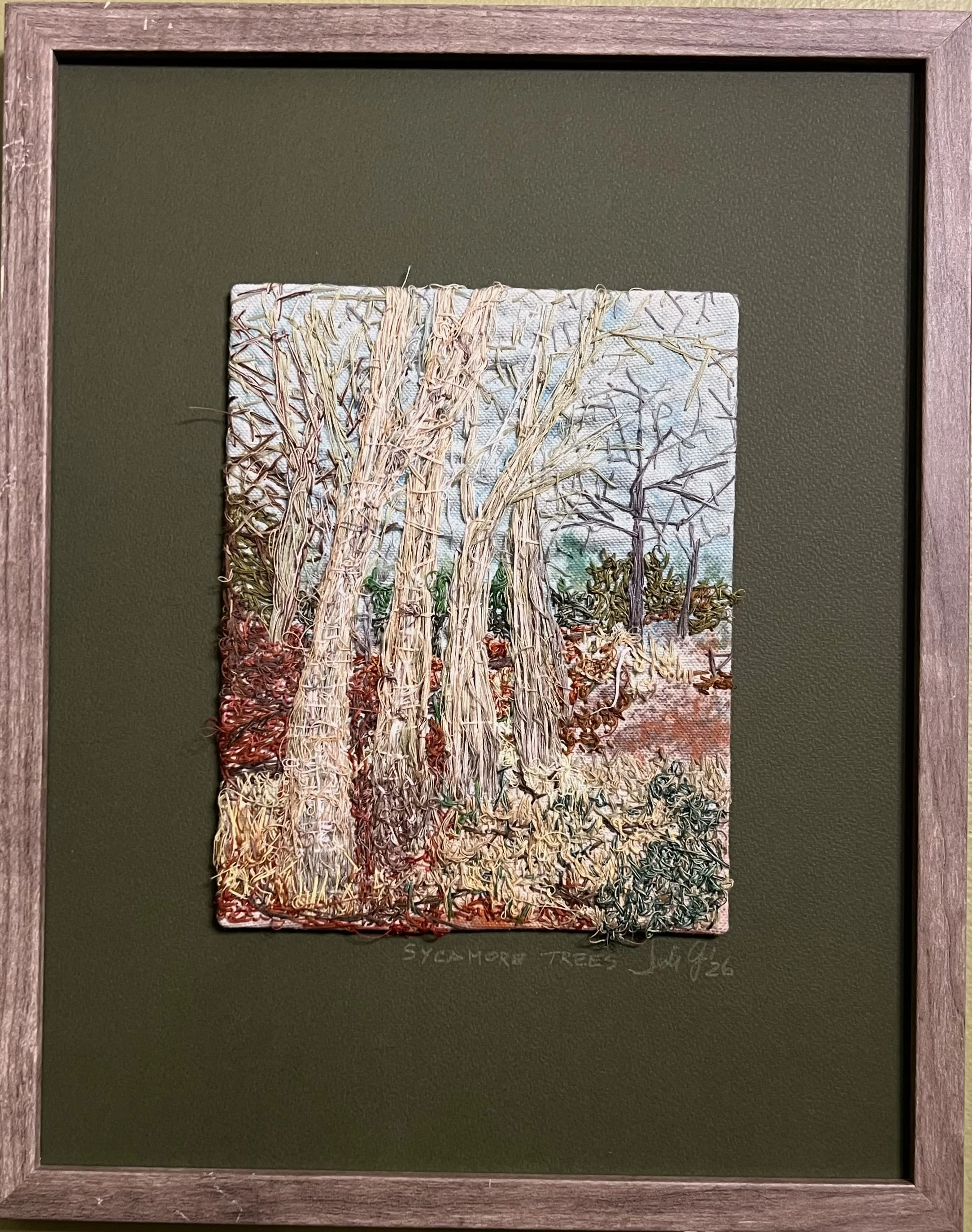 Sycamore Trees.jpeg