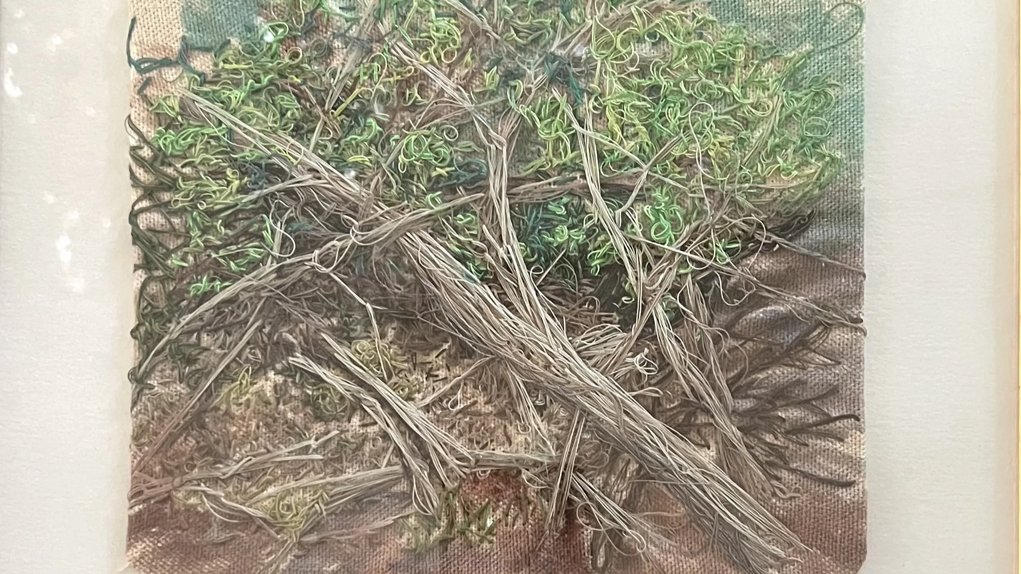 Twigs and branches cover