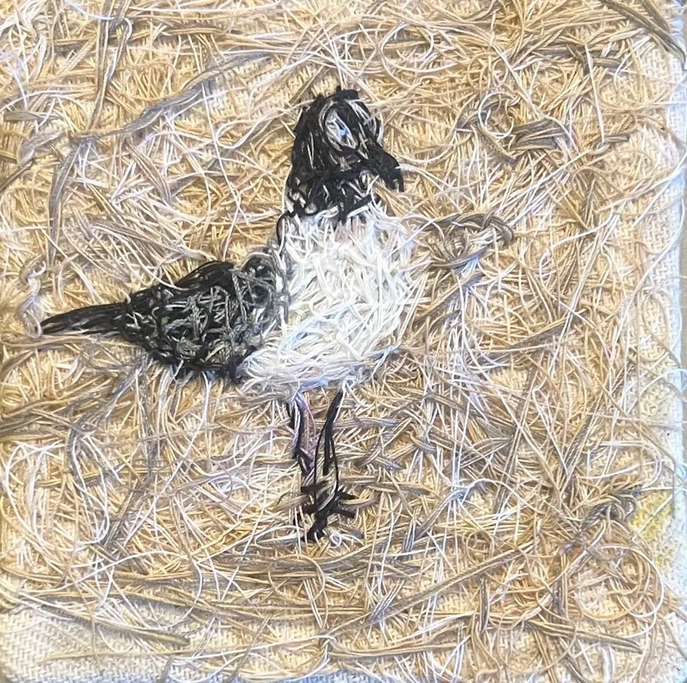 PT+Seagull.jpg