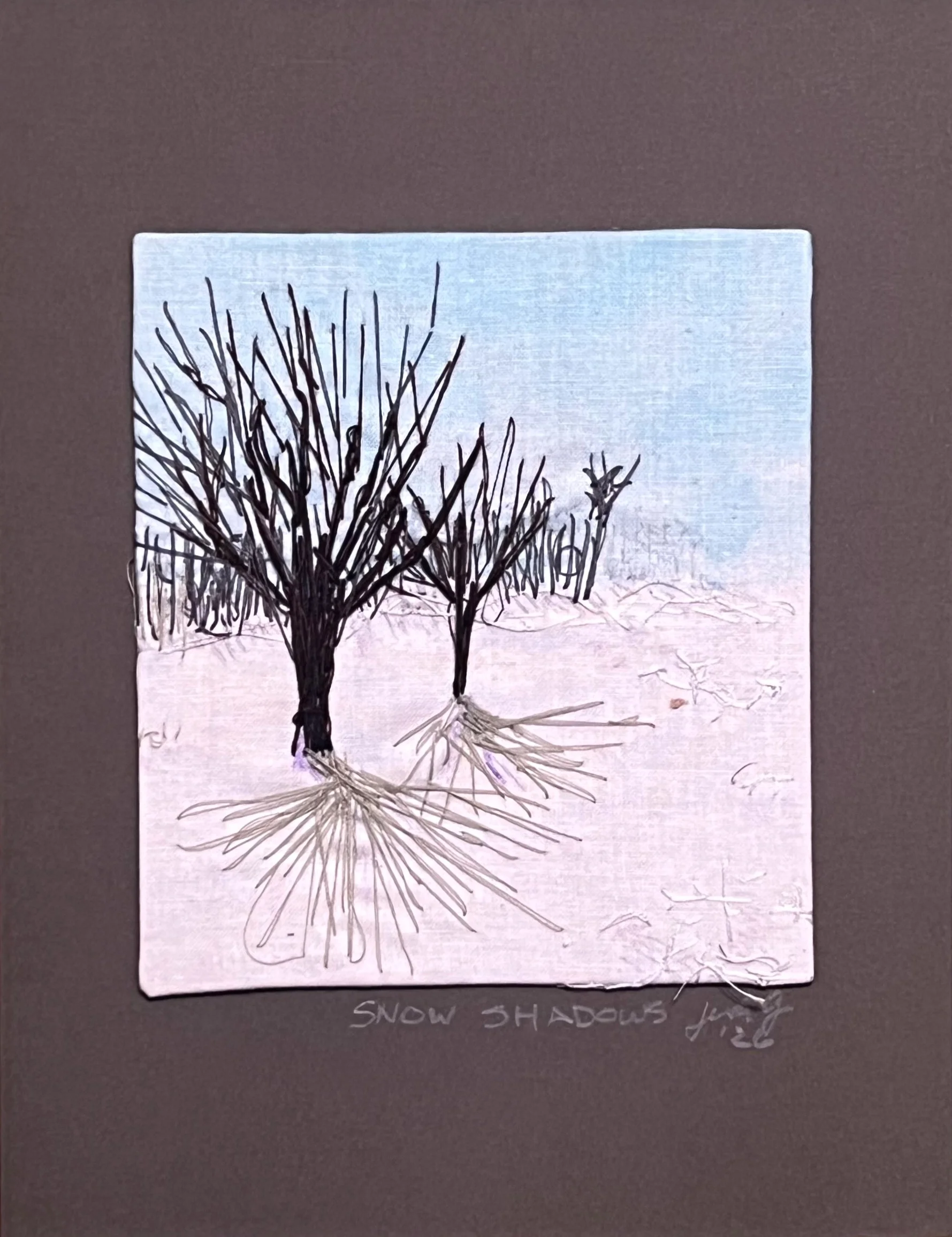 Snow Shadows