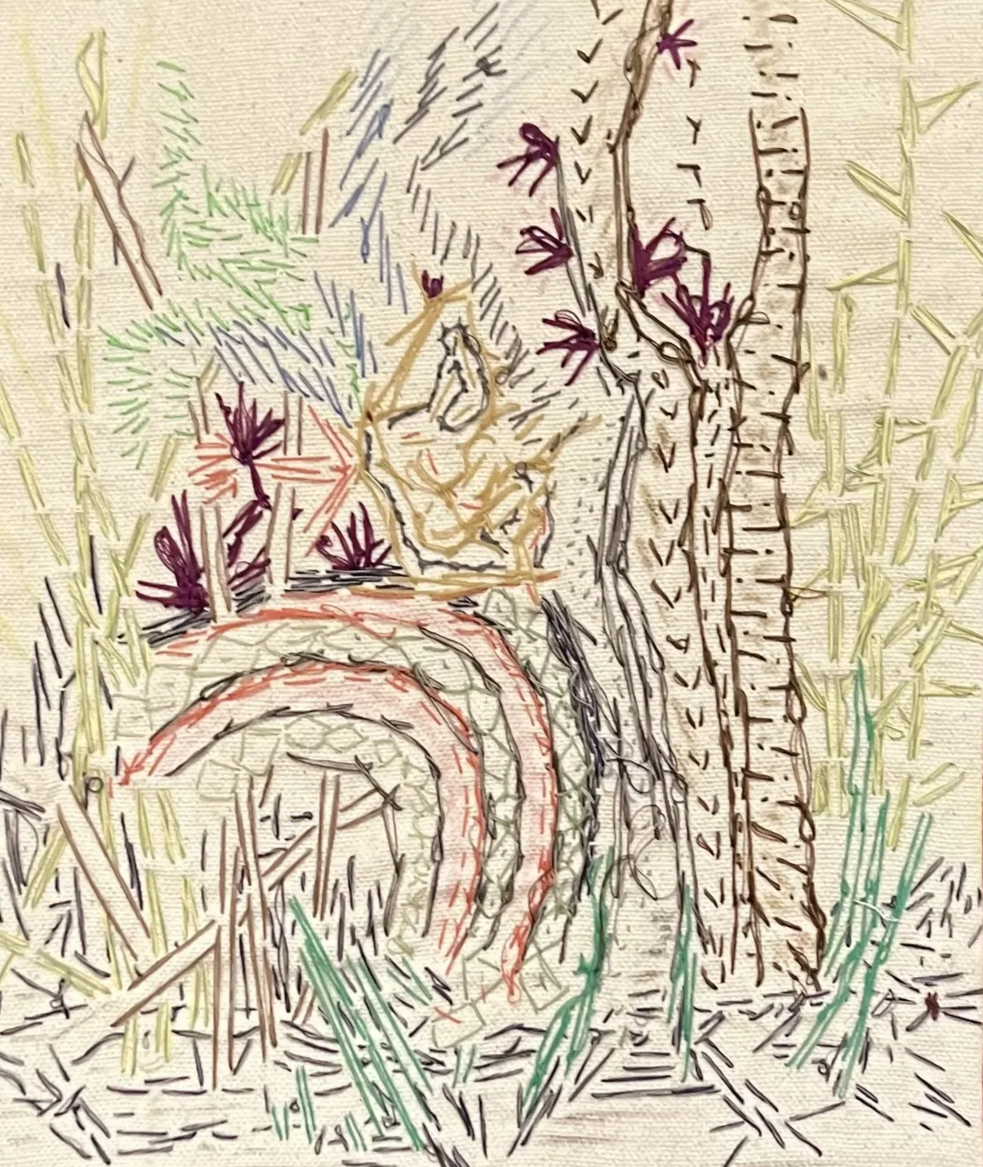 TreeTrunksCropped.webp