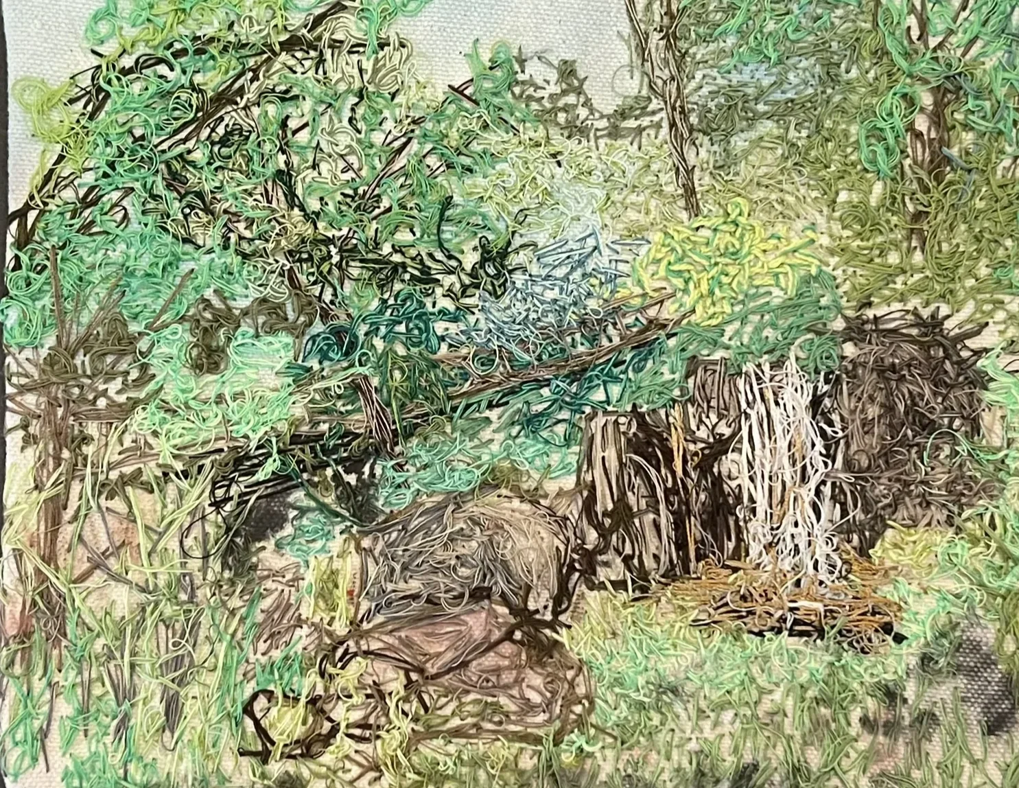 AntelopeHabitatCropped.webp