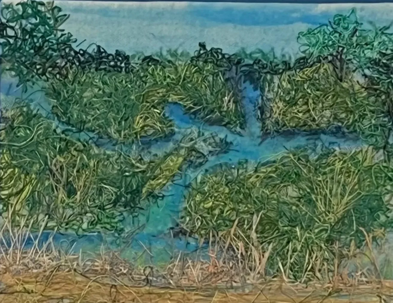 Wetlands.jpg