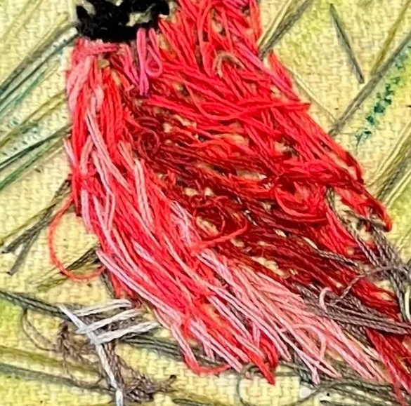 PT+Cardinal.jpg