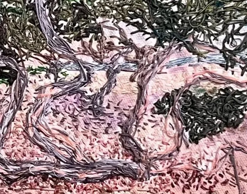 Trees+at+La+Jolla+Bay.jpg