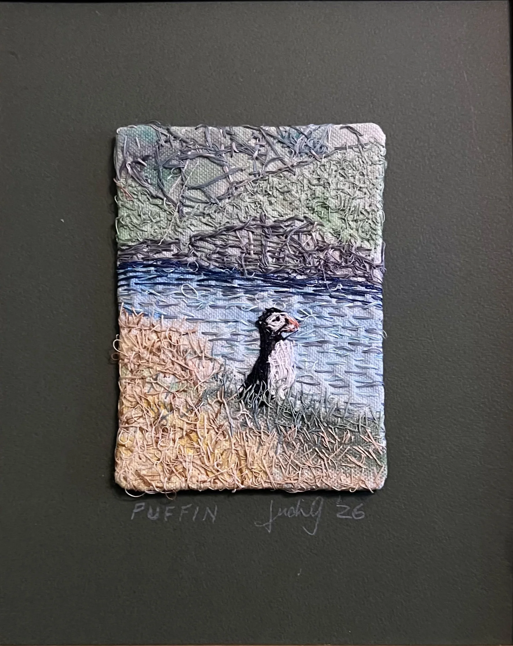 Puffin