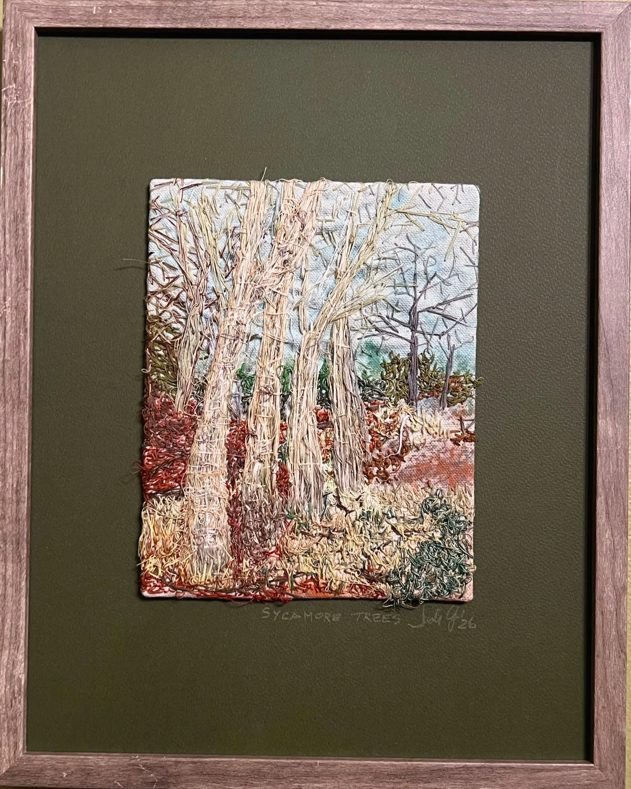 Sycamore+Trees.jpg