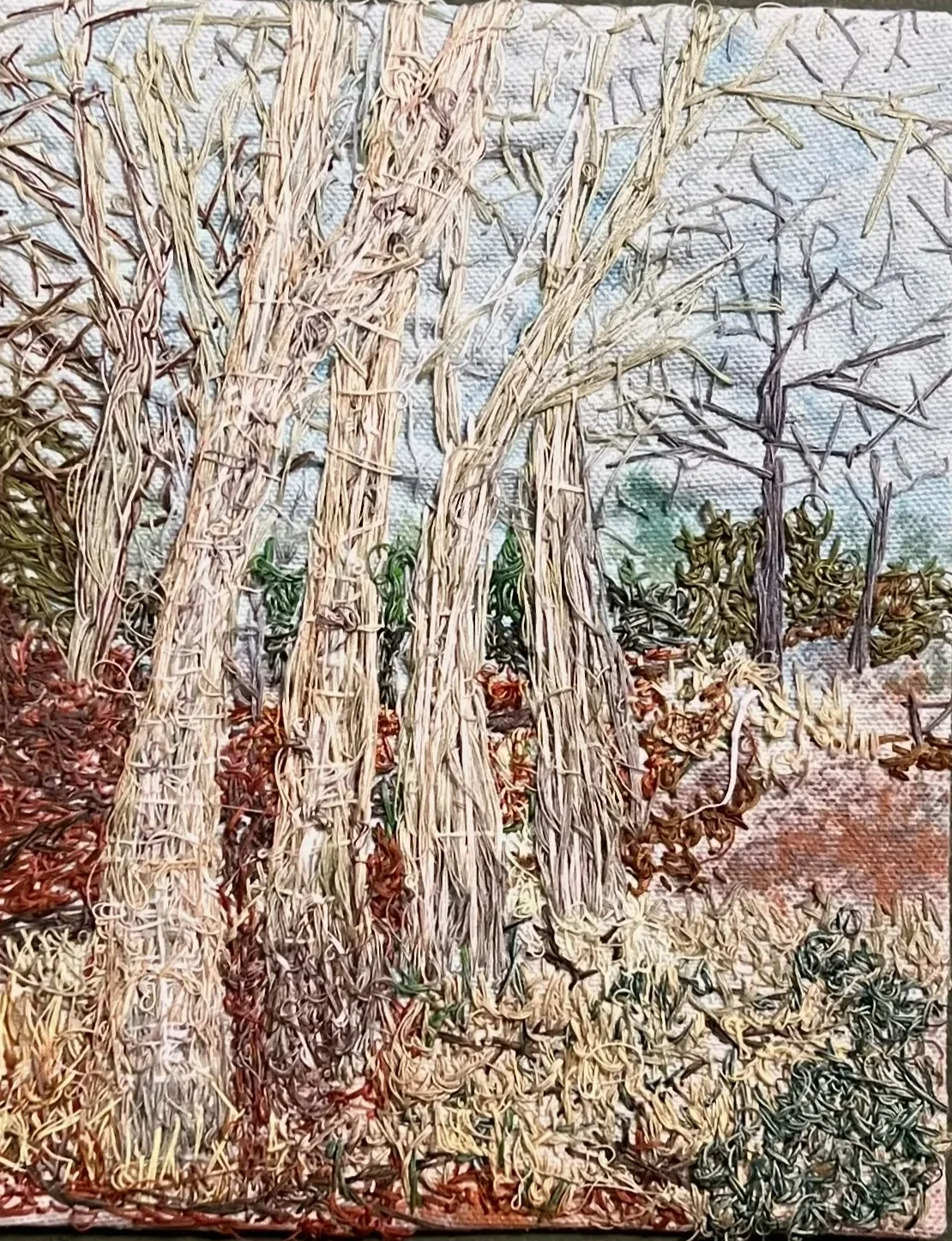 SycamoreTreesCropped.webp