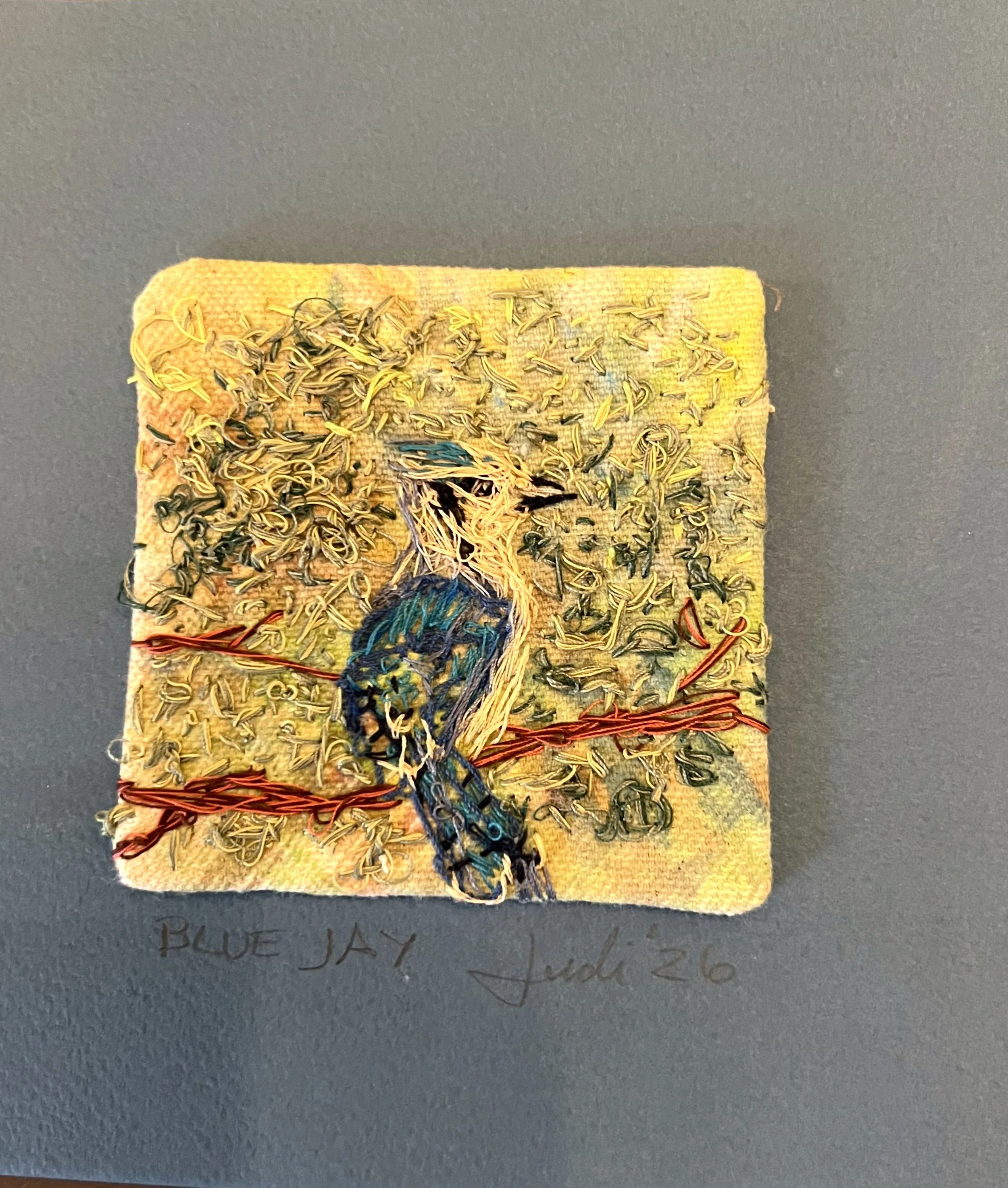 Blue Jay