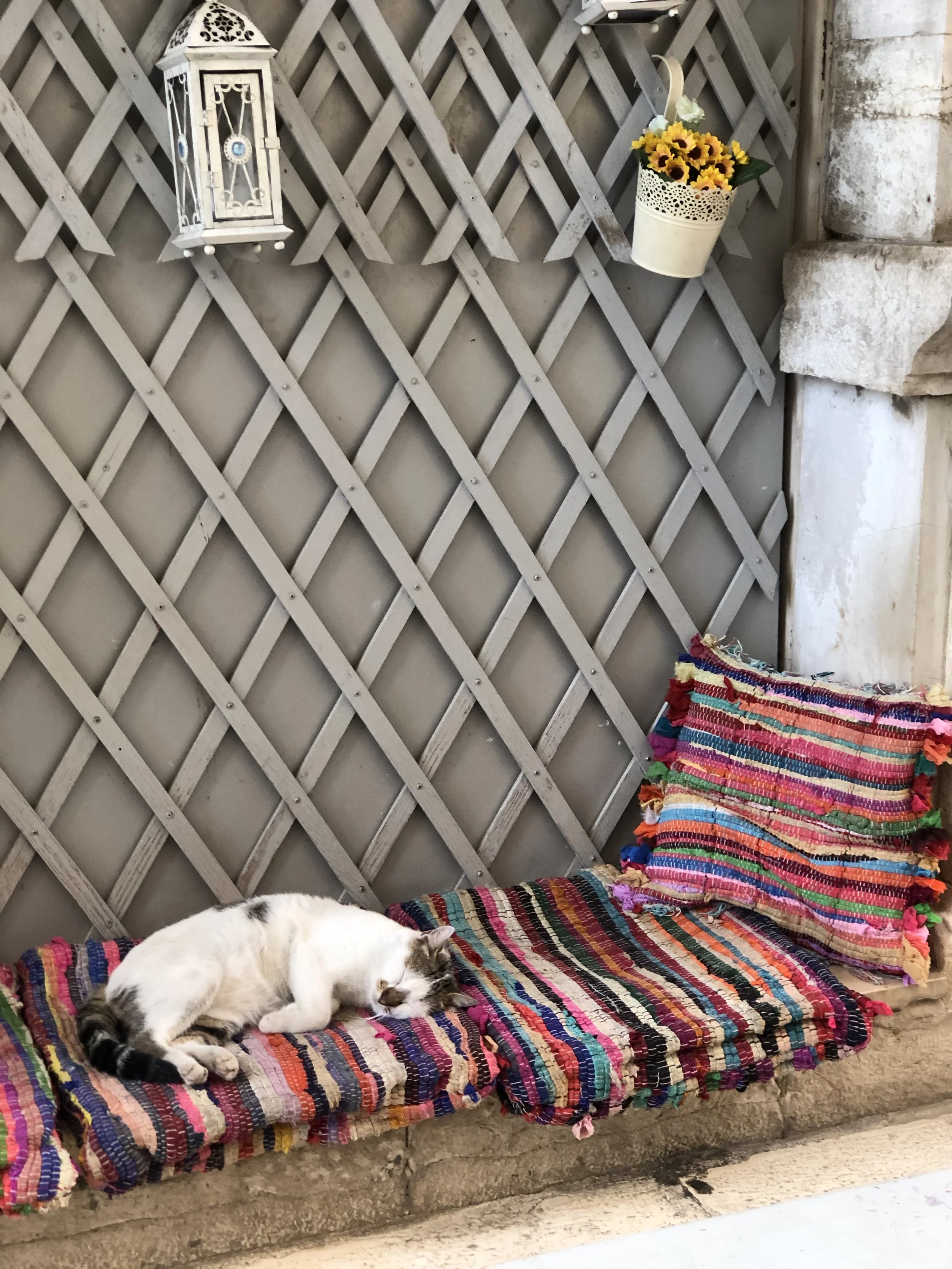 A white and gray cat sleeping on a colorful woven blanket on a stone ledge, with a yellow basket of sunflowers and a decorative lantern hanging on a lattice wall in the background.