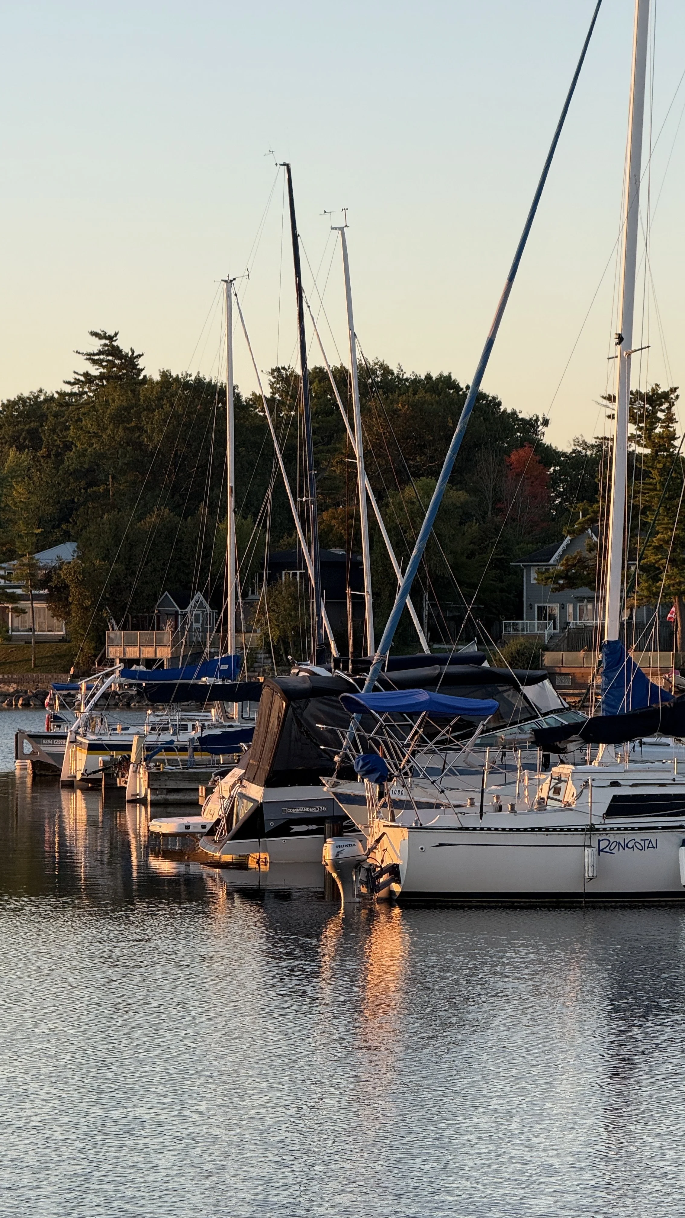 Boats docked at a marina during sunset, with houses and trees in the background.