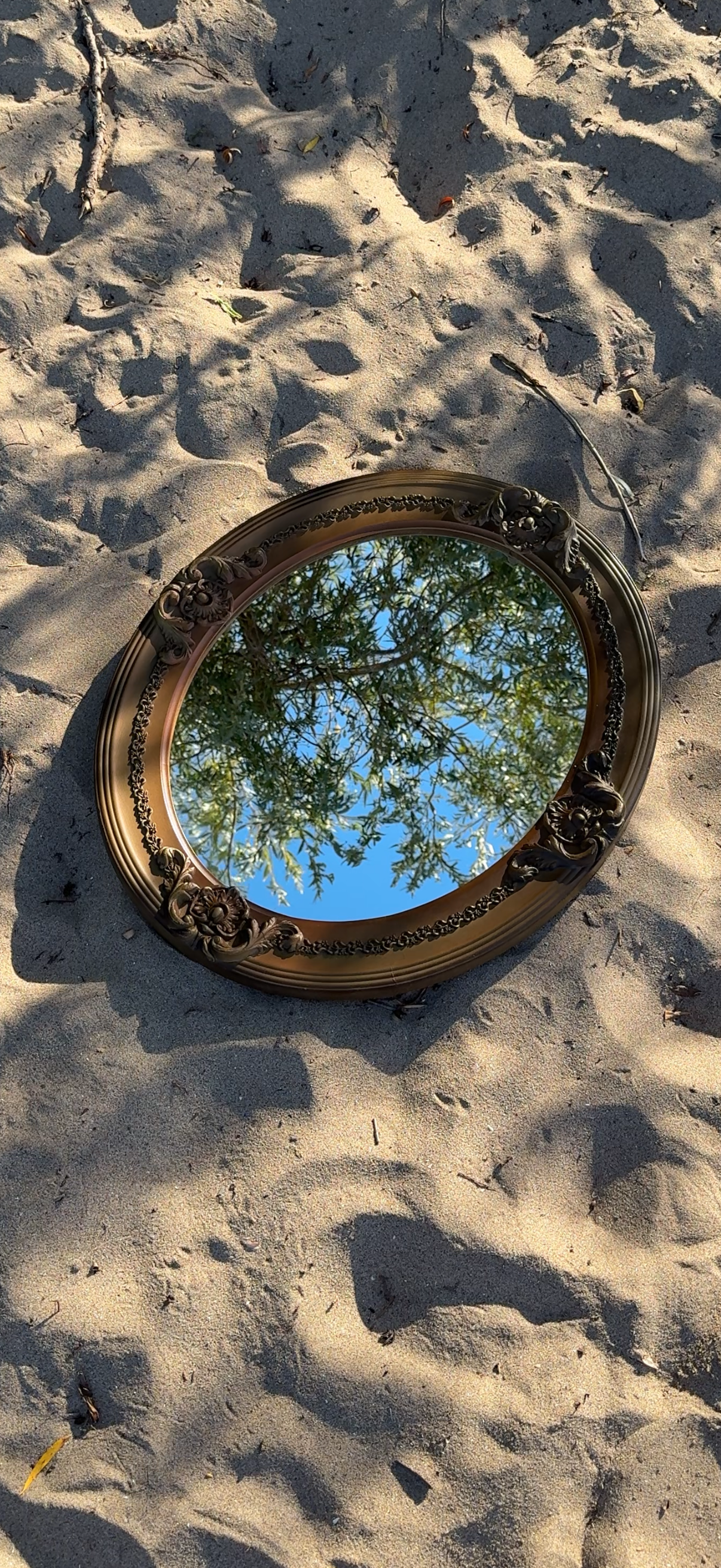 A decorative oval mirror with a gold ornate frame lies on sandy ground, reflecting a tree with green leaves and a blue sky.