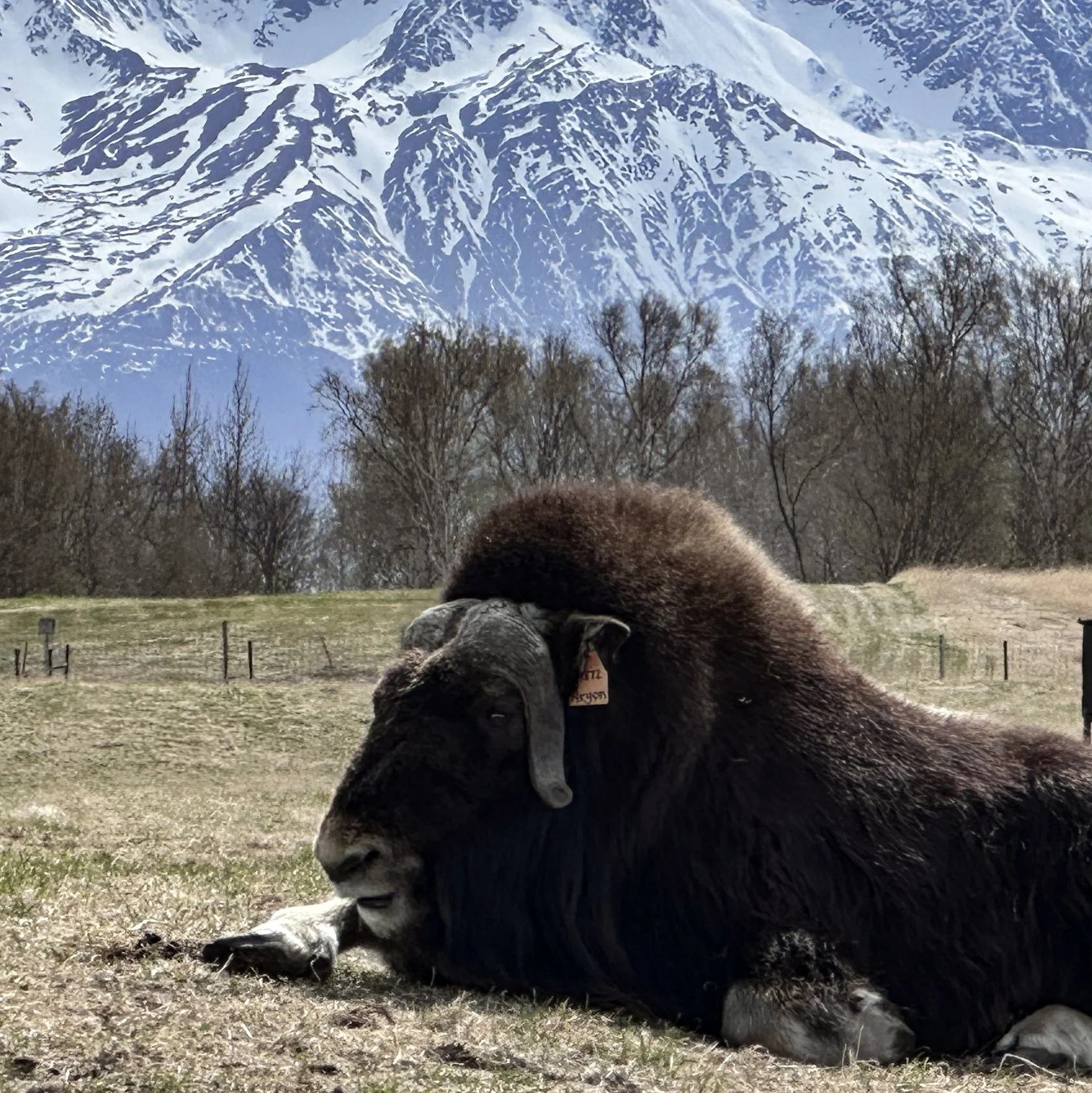 Take a cue from the locals — rest and relax.