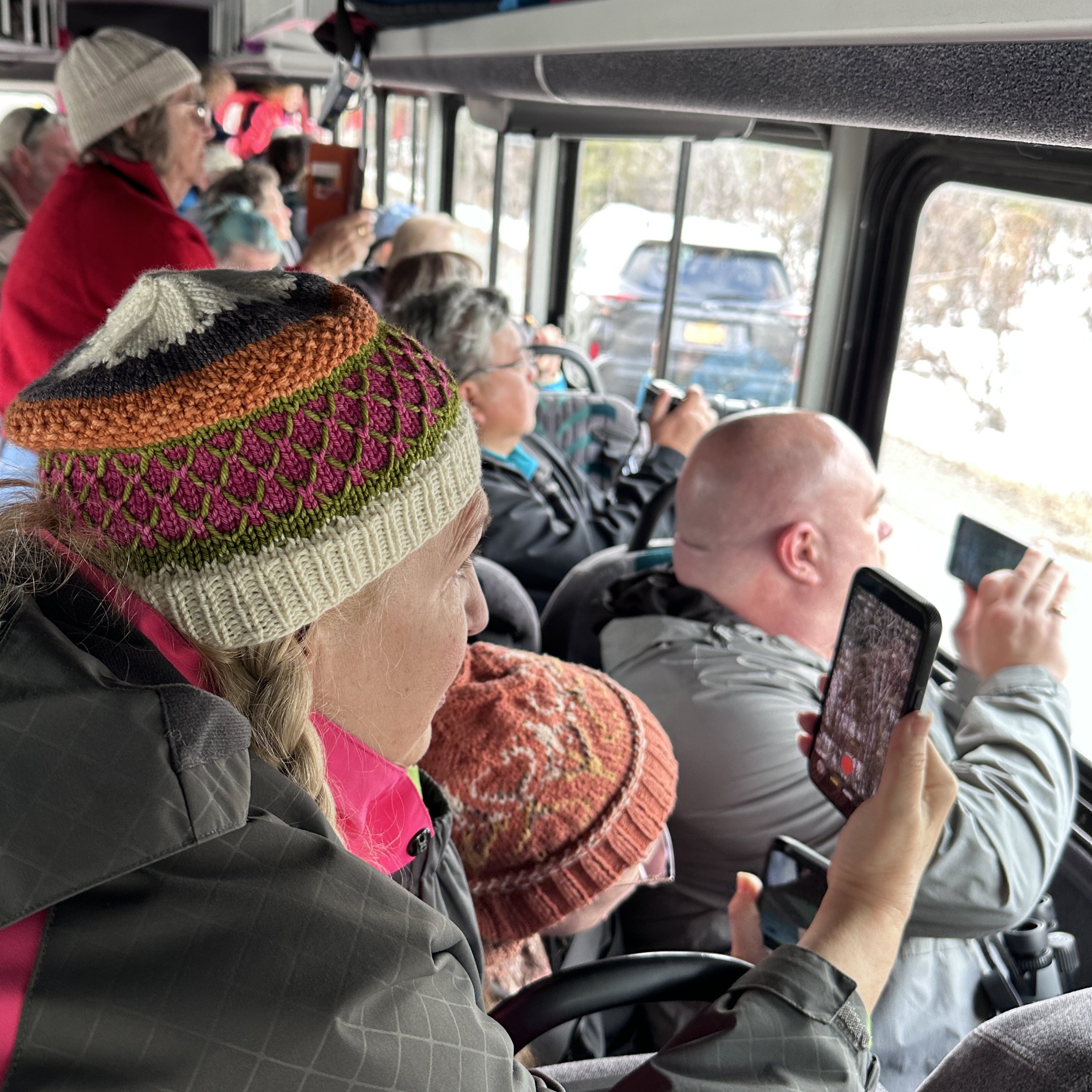 Phones out, eyes peeled — wildlife spotting in progress.