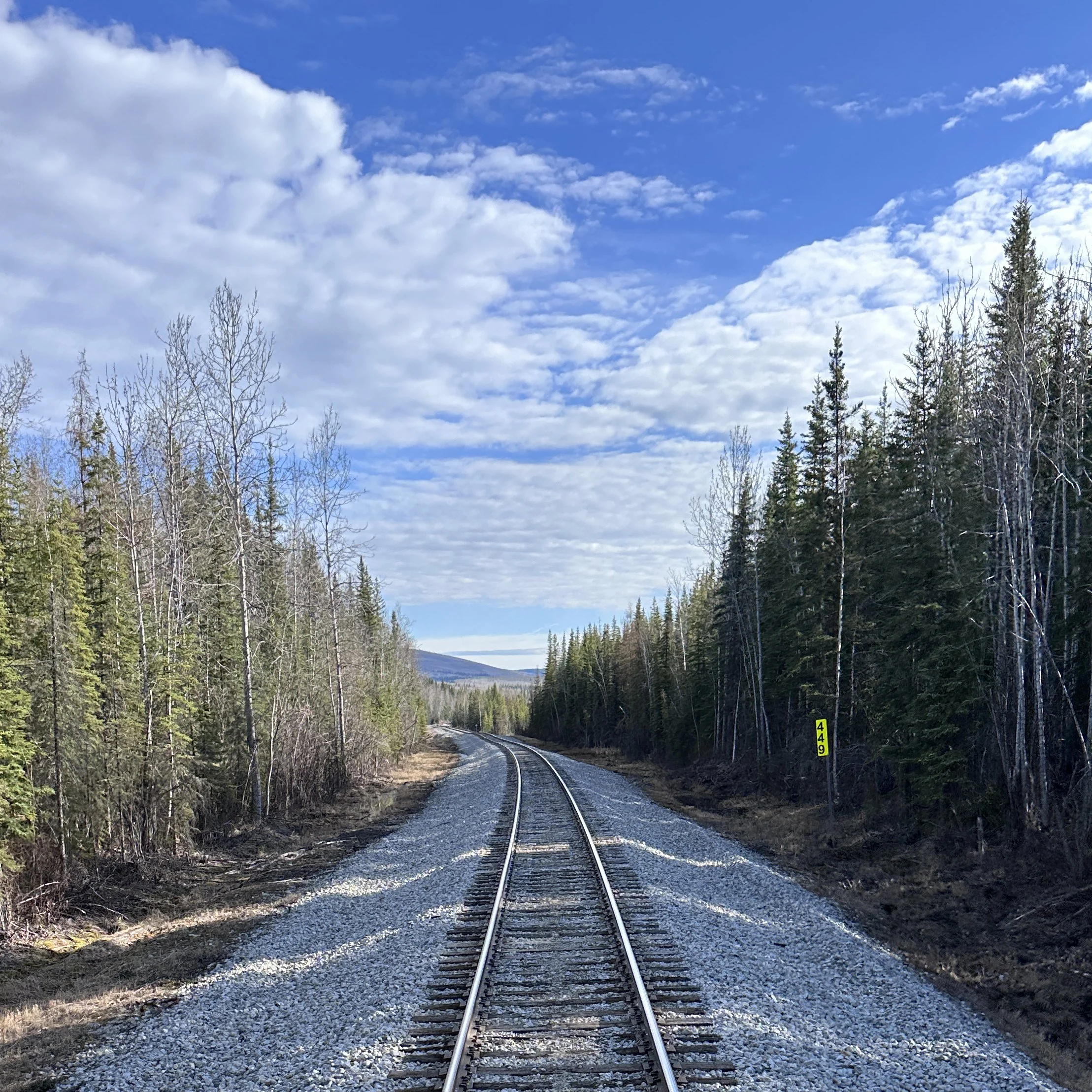 All aboard for Denali.