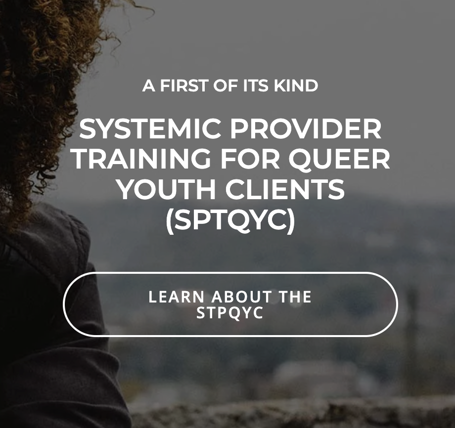 Text overlay on a blurry outdoor background promoting systemic provider training for queer youth clients by STQYC with a call to learn more.