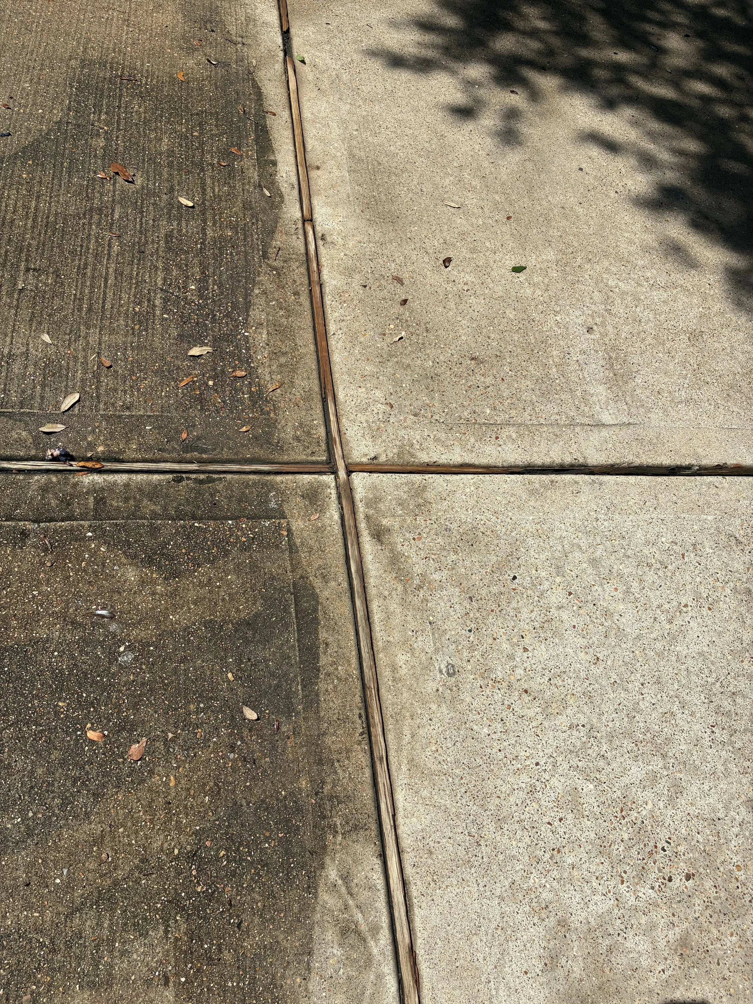 Sidewalk with dirt and leaves on the left, clean concrete on the right, and a metal divider in between, casting shadow.