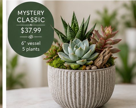 Blissful_Mystery_Plant_Bar_Kit_Classic.png