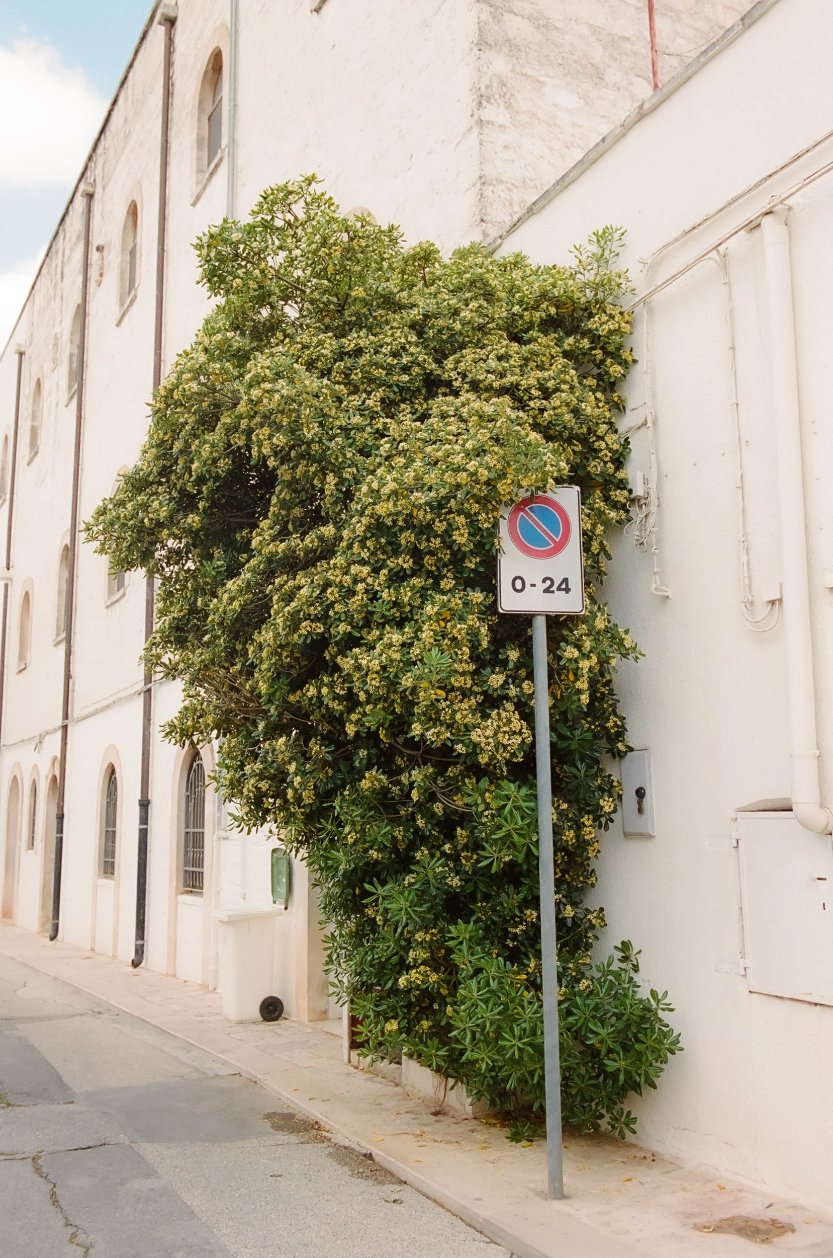 puglia-italy-eduarda-goa-47.jpg