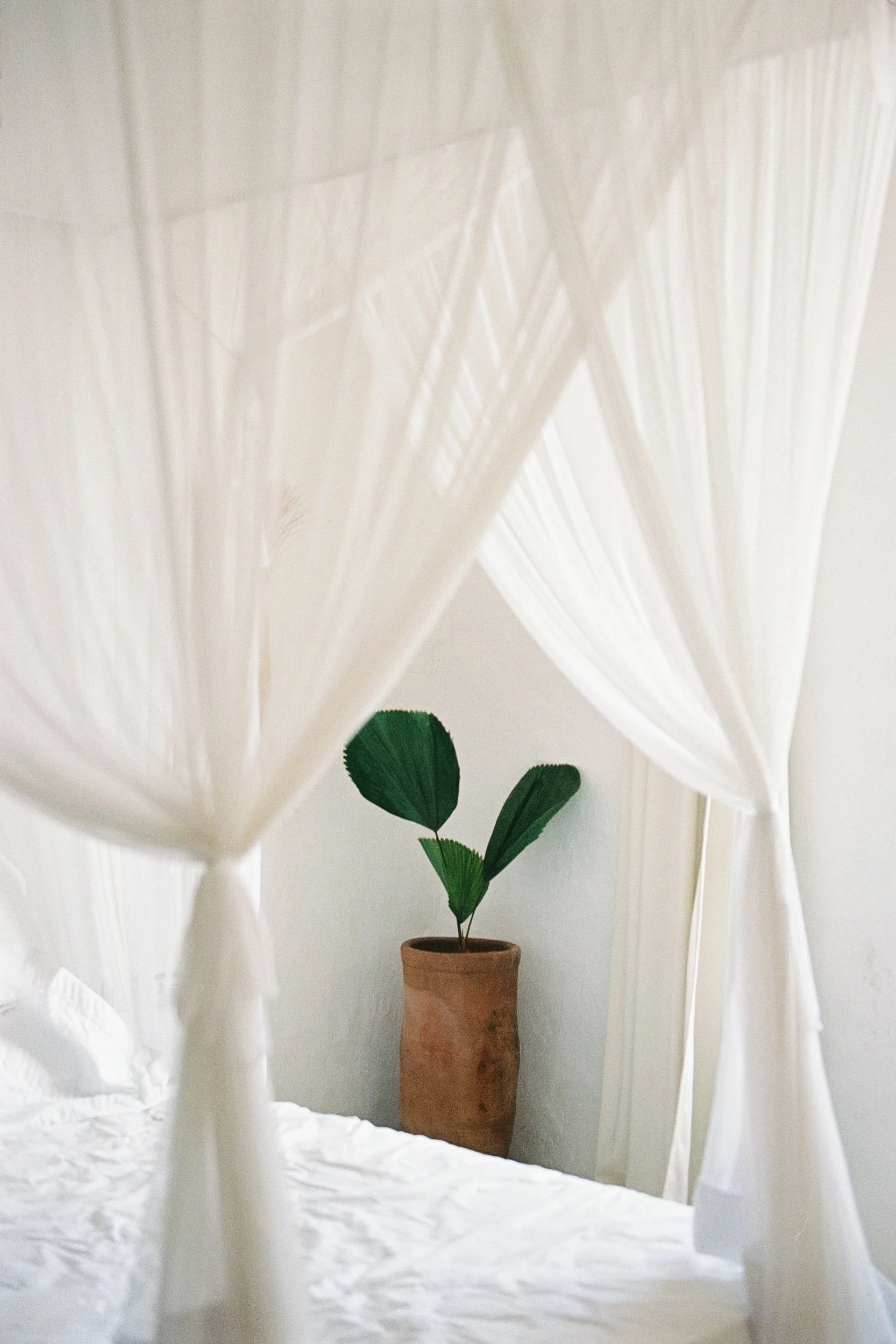 vntta-fw24-new-beginnings-rio-brazil-eduarda-goa-83.jpg