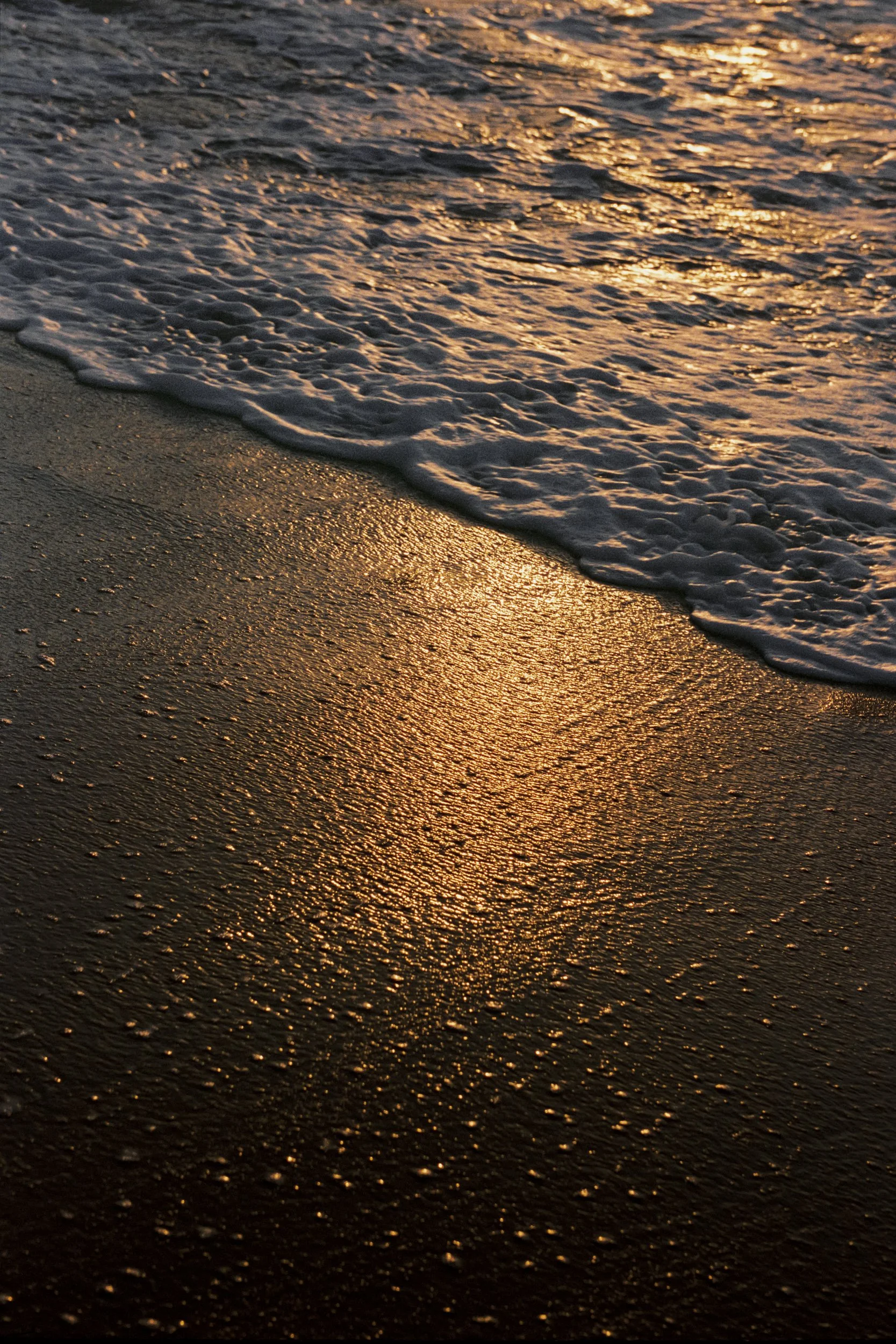 Sunset light rippling across wet sand as foam recedes, 35mm film