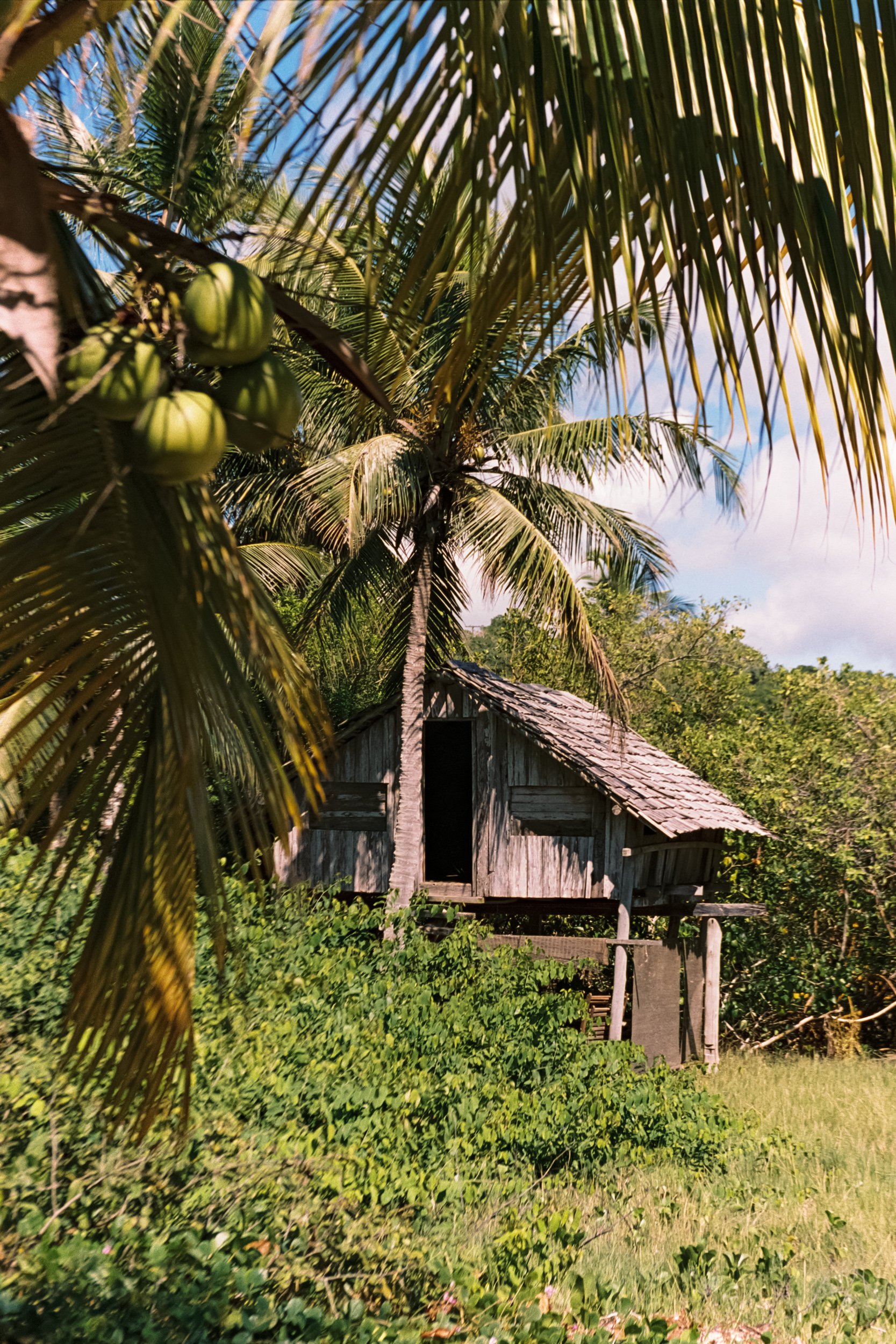 recco-ss26-trancoso-bahia-brazil-eduarda-goa-45.jpg