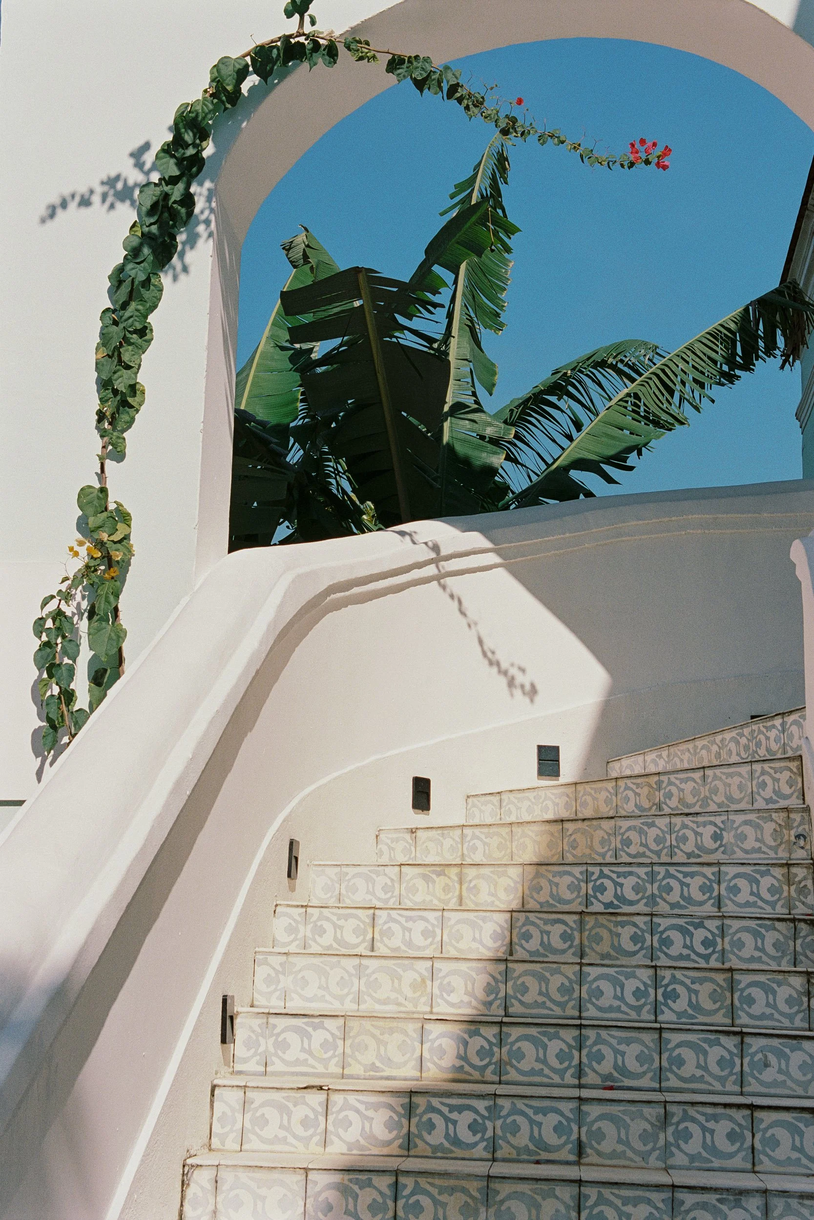vntta-fw24-new-beginnings-rio-brazil-eduarda-goa-120.jpg