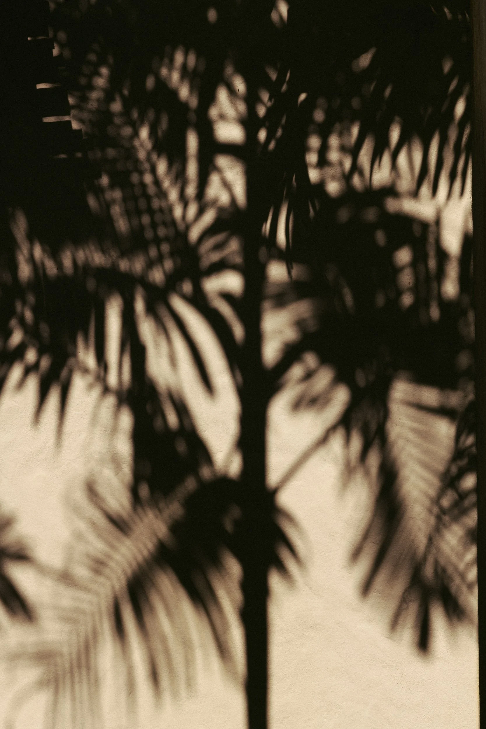 recco-ss27-bahia-brazil-eduarda-goa-112.jpg