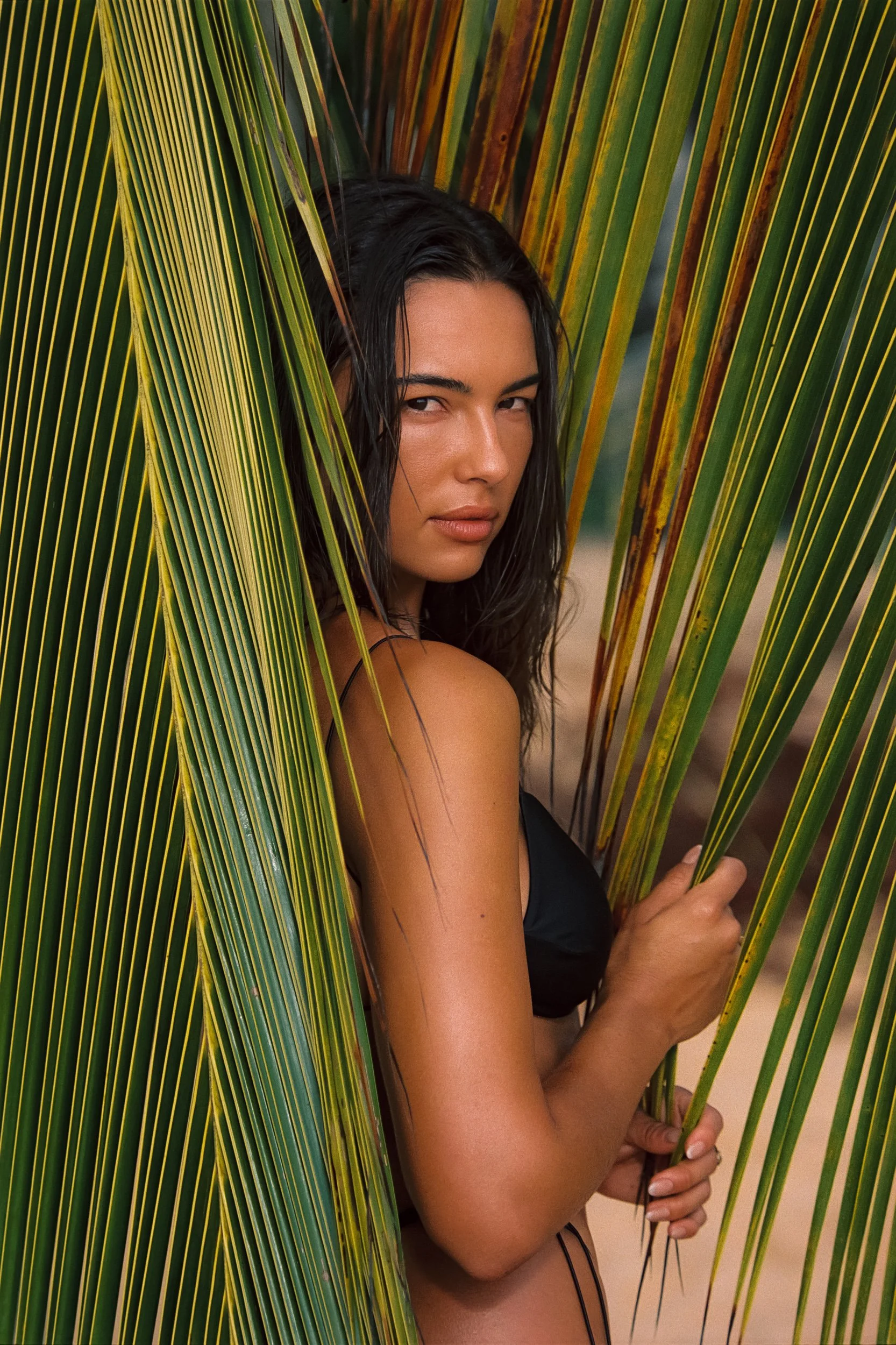 Model Elise Troschel in a black triangle bikini parting a coconut frond on the beach, wet hair, Trancoso, Bahia, Brazil. Niya Swim, shot on film 35mm by Eduarda Goa.