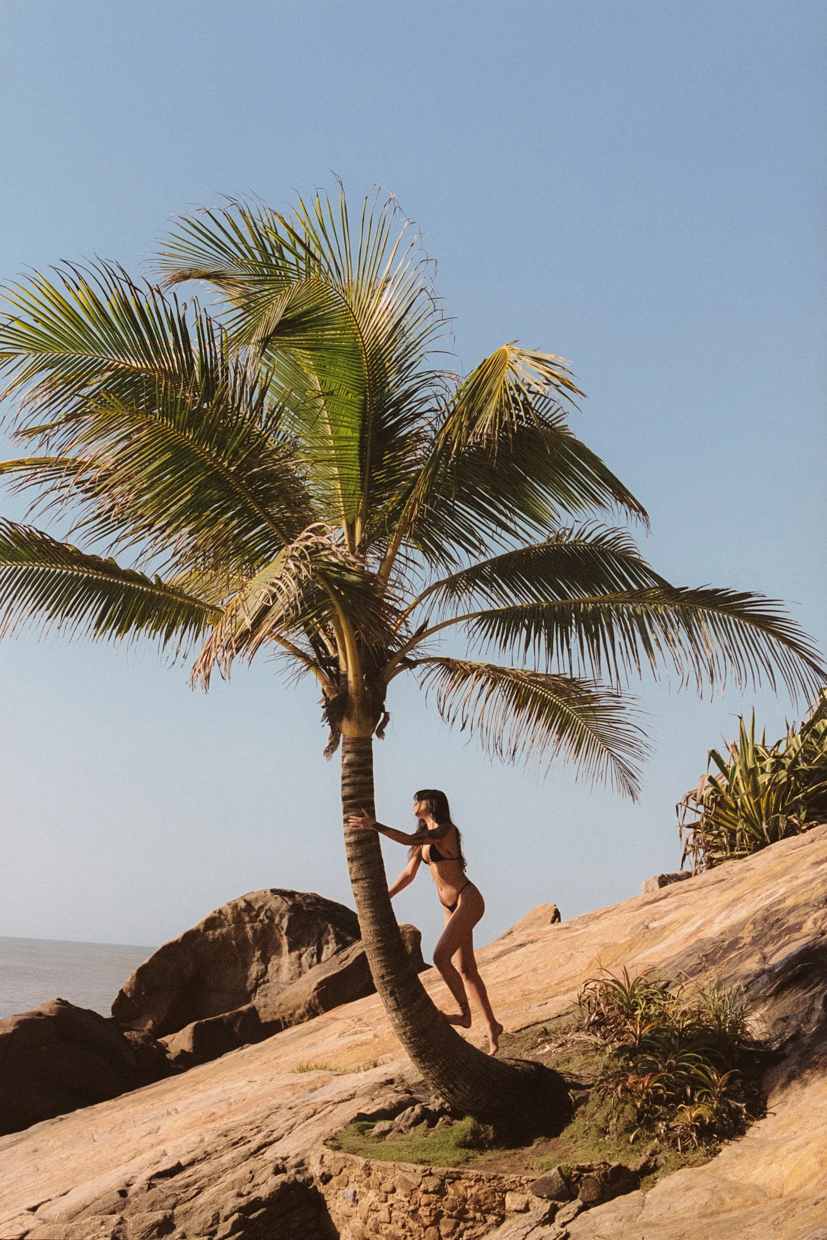Leaning against a curved coconut palm on sunlit rock, 35mm film