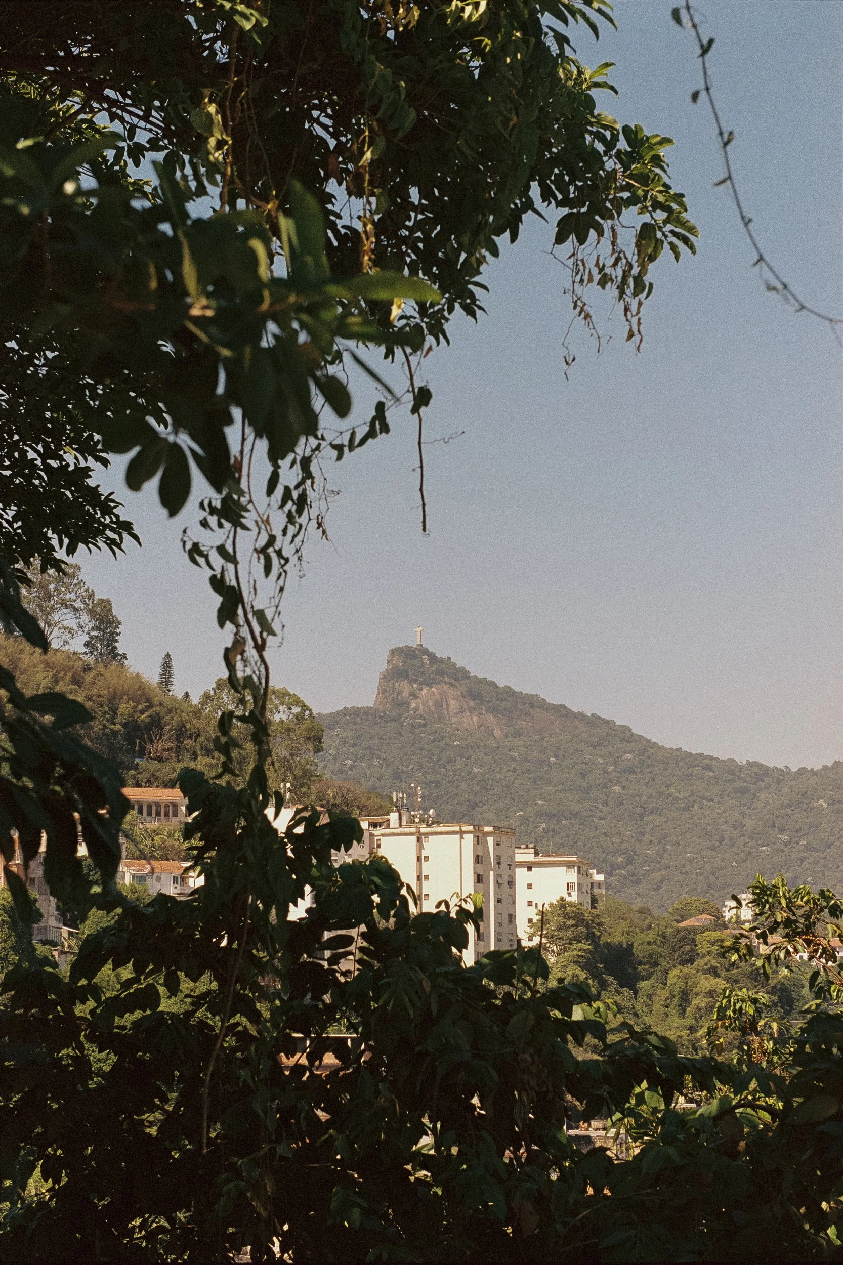 boah-fw25-rio-de-janeiro-eduarda-goa-34.jpg