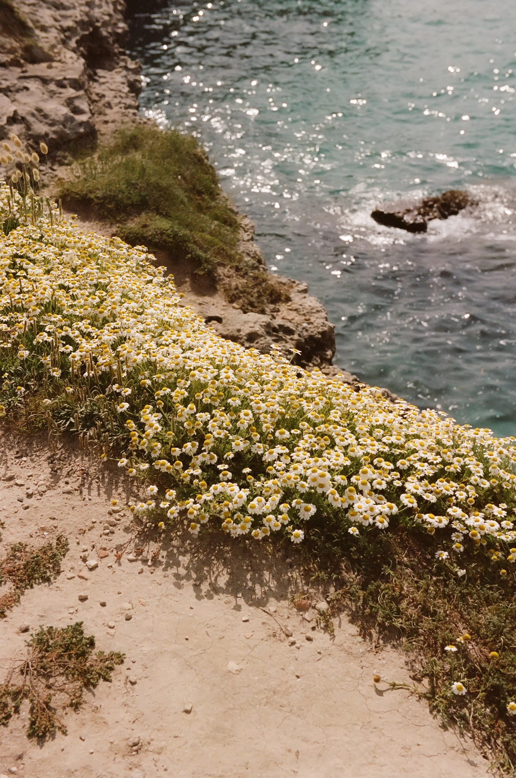 puglia-italy-eduarda-goa-10.jpg