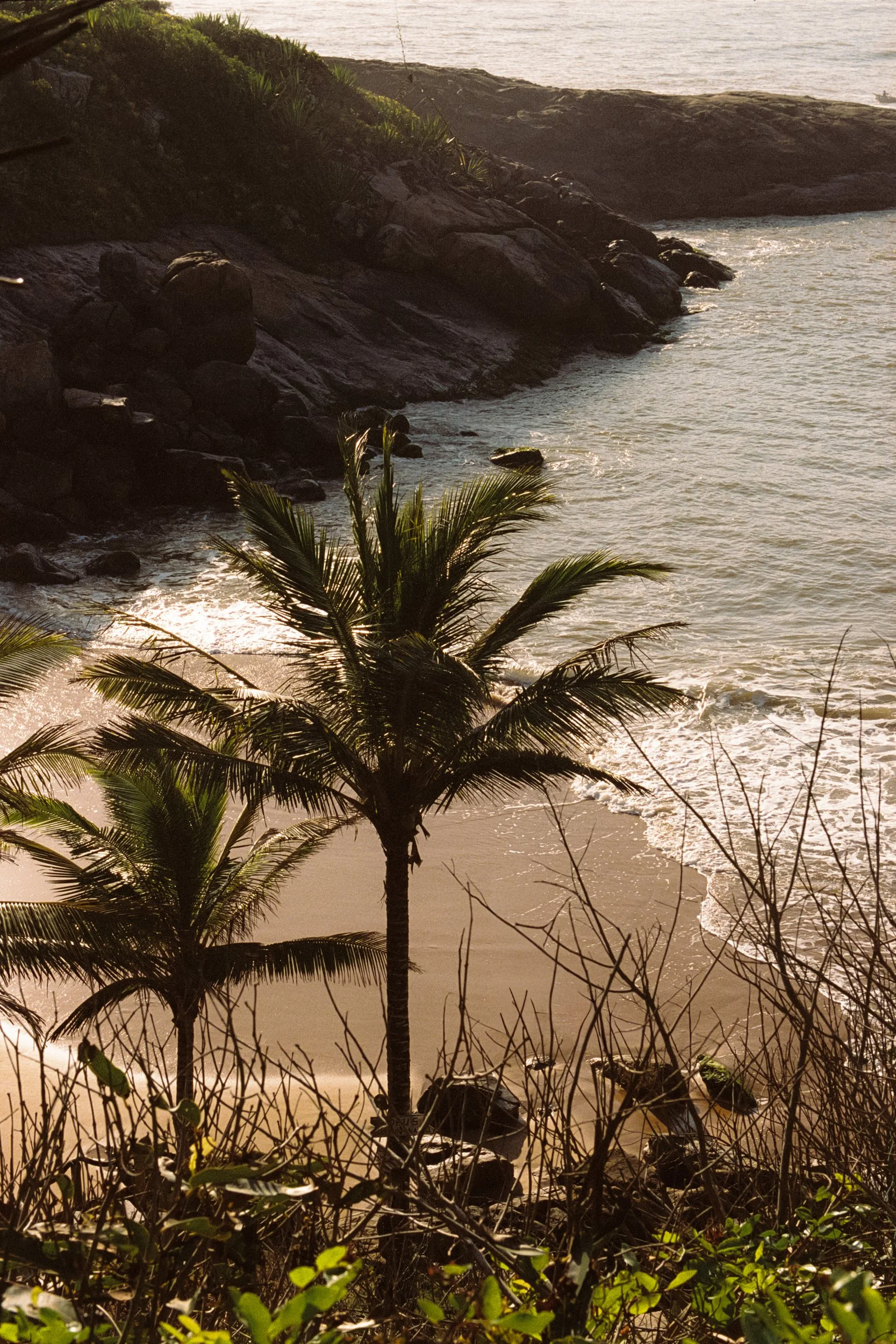 Palms and a rocky cove seen from above at golden hour, 35mm film