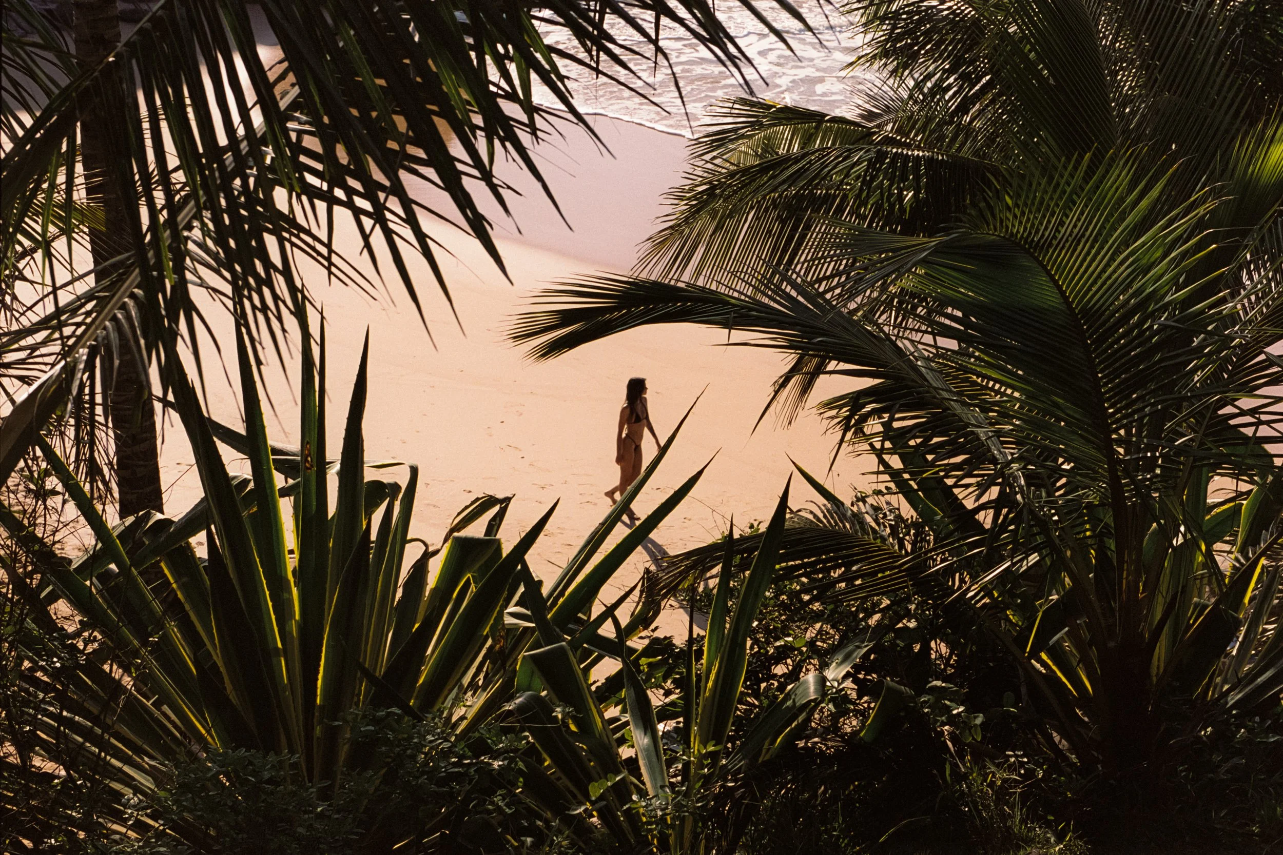 Figure crossing the sand framed by palm fronds and agave, 35mm film
